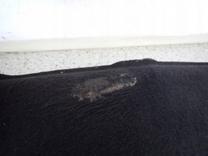 HONDA CIVIC UFO VIII 06- WYCISZENIE WYGŁUSZENIE MASKI 4/8 MINIATURA