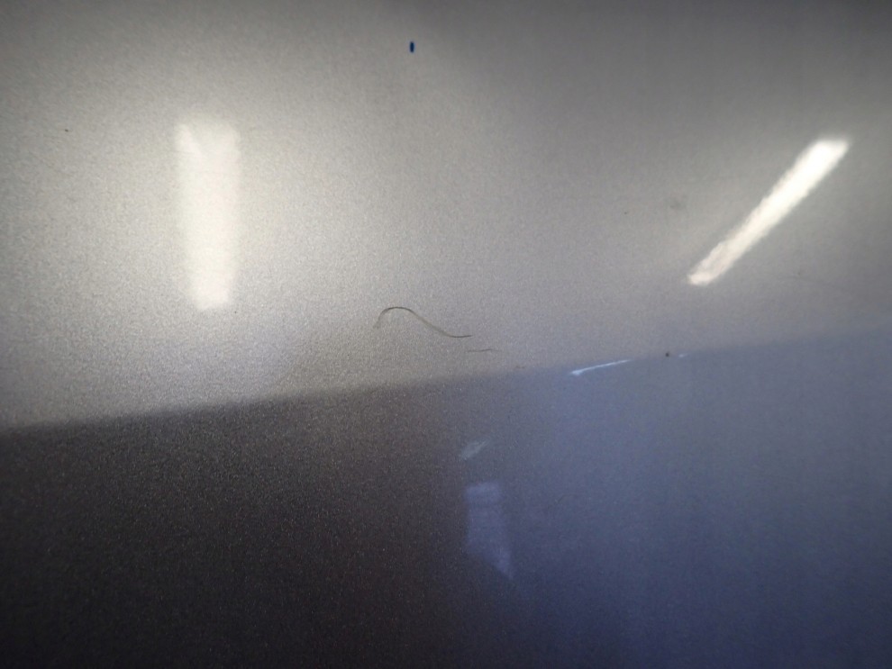 MAZDA PREMACY 99- DRZWI TYLNE LEWE 14/16