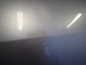 MAZDA PREMACY 99- DRZWI TYLNE LEWE 14/16 MINIATURA