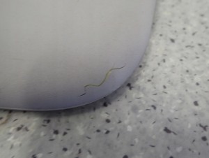 HYUNDAI GETZ 02-10 DASZEK PRZECIWSŁONECZNY LEWY 5/14 MINIATURA