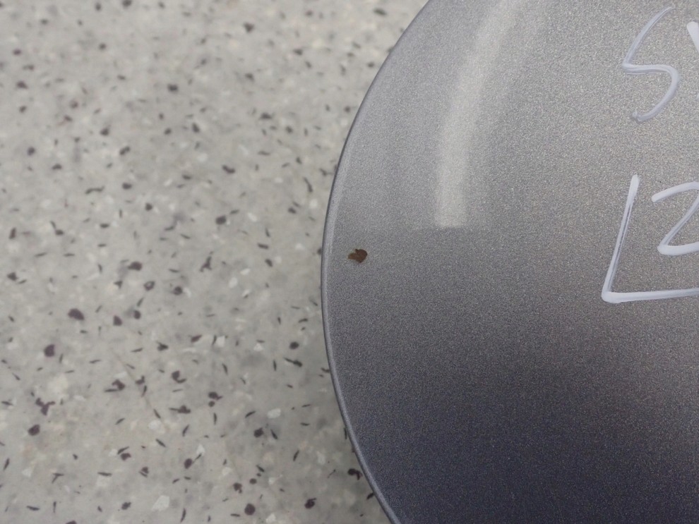 SUZUKI SX4 FIAT SEDICI 06-13 KLAPKA WLEWU PALIWA ZCD 2/5