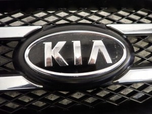 KIA CARENS III 06- ATRAPA GRILL KRATA WLOTU 6/12 MINIATURA