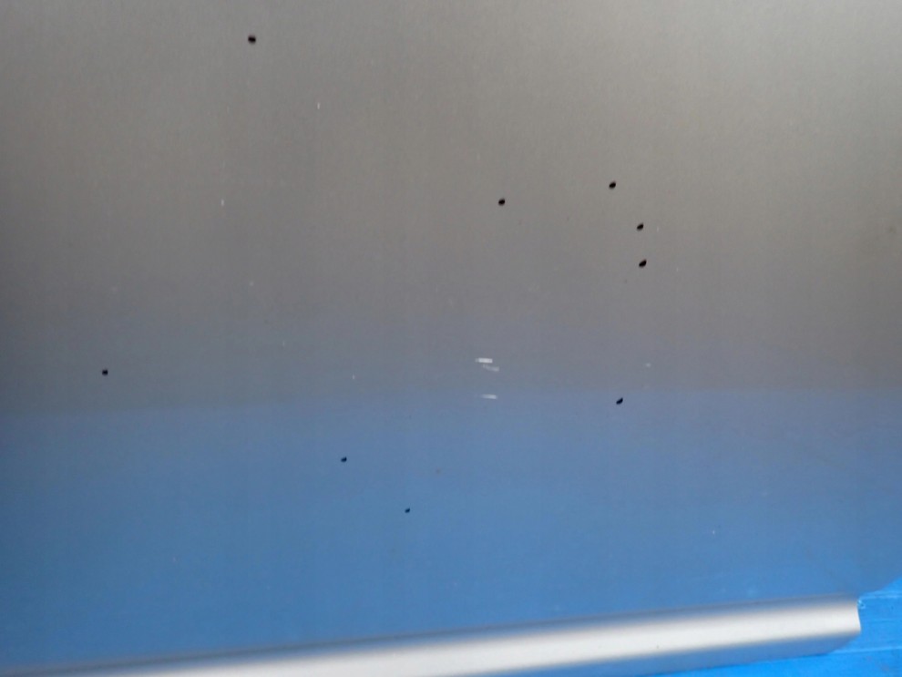 TOYOTA AVENSIS T25 KOMBI 02- DRZWI TYLNE PRAWE 1C0 9/12