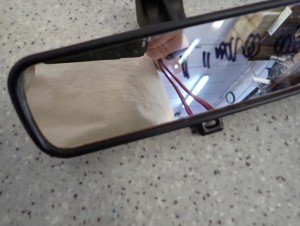 ALMERA TINO 00-06 LUSTERKO WEWNĘTRZNE WSTECZNE 3/6 MINIATURA