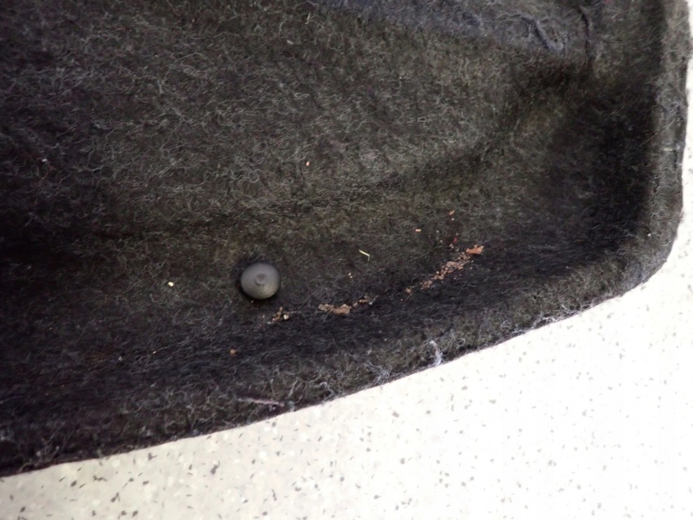 TOYOTA YARIS II 06- PÓŁKA BAGAŻNIKA 4/7