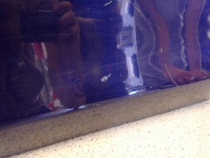 MAZDA2 MAZDA 2 DY 02-07 DRZWI PRZEDNIE LEWE 27R 10/13 MINIATURA