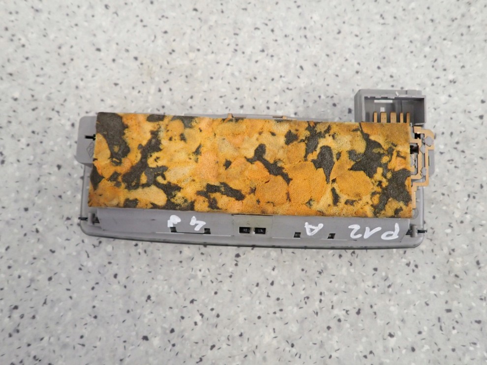 NISSAN PRIMERA P12 03- LAMPKA OŚWIETLENIA KABINY TYŁ 2/2