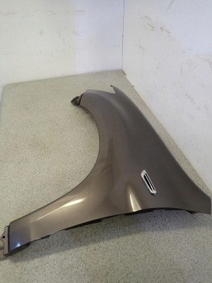 MITSUBISHI ASX 10- BŁOTNIK PRZEDNI LEWY C06A 9/12 MINIATURA