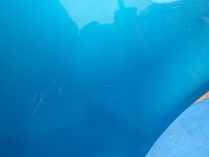 SUZUKI ALTO NISSAN PIXO 09- DRZWI TYLNE LEWE ZKY 6/12 MINIATURA