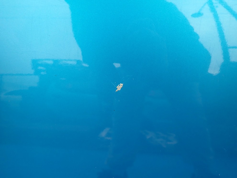 SUZUKI ALTO NISSAN PIXO 09- DRZWI TYLNE PRAWE ZKY 5/14