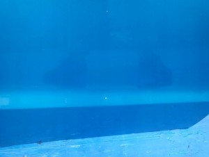 SUZUKI ALTO NISSAN PIXO 09- DRZWI TYLNE PRAWE ZKY 7/14 MINIATURA