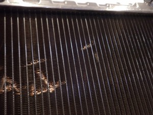 TOYOTA COROLLA E9 1987-1991 1.6 GTi CHŁODNICA WODY NOWA 3/11 MINIATURA