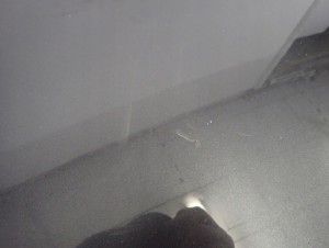 KIA CEED II 12-17 MASKA POKRYWA SILNIKA BE 13/16 MINIATURA