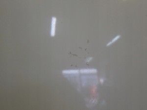 SUZUKI SWIFT MK7 10-16 MASKA POKRYWA SILNIKA ZNL 15/16 MINIATURA